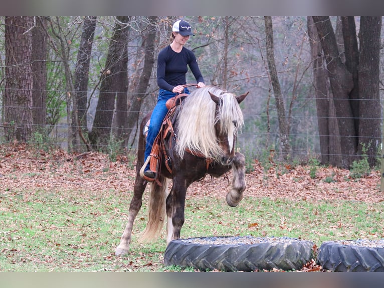 American Quarter Horse Mix Ruin 5 Jaar 160 cm Palomino in Clover, SC