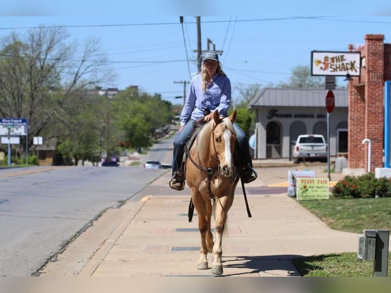 American Quarter Horse Ruin 5 Jaar Palomino in Joshua, TX