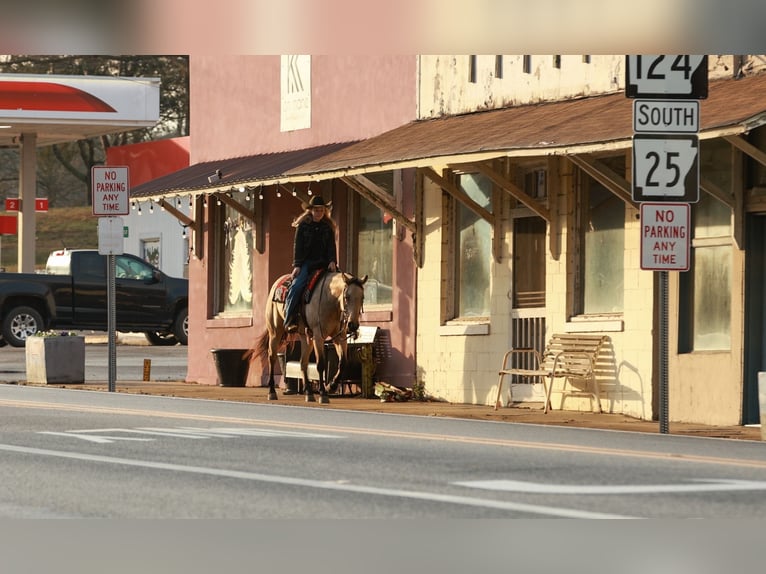 American Quarter Horse Ruin 6 Jaar 150 cm Buckskin in Quitman