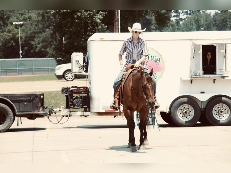 American Quarter Horse Ruin 6 Jaar 150 cm Roodbruin in Carthage