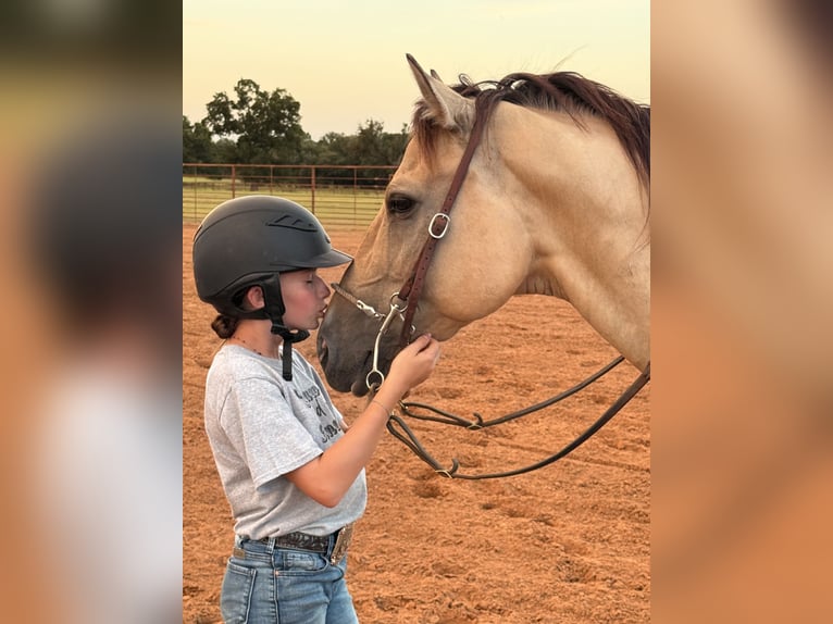 American Quarter Horse Ruin 6 Jaar 155 cm Buckskin in Weatherford, TX