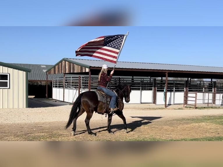 American Quarter Horse Mix Ruin 7 Jaar 142 cm Roodbruin in Joshua, TX