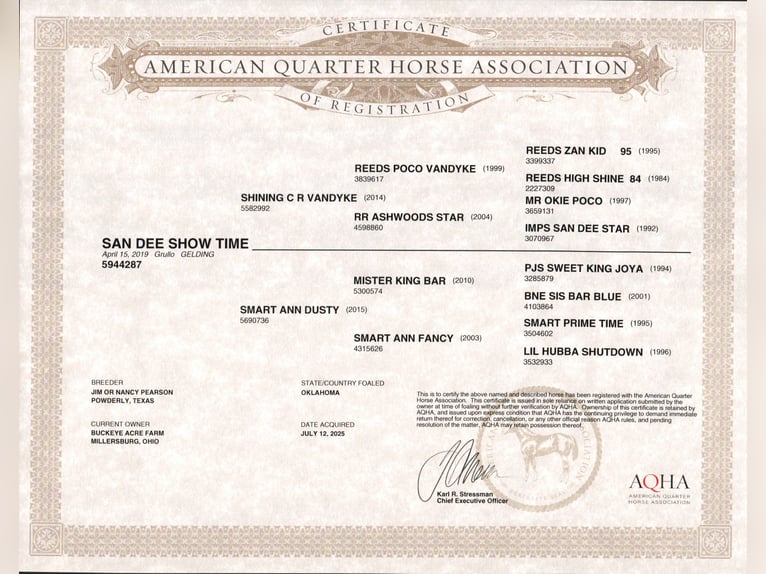 American Quarter Horse Ruin 7 Jaar 145 cm Grullo in Millersburg