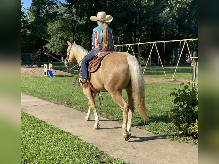 American Quarter Horse Ruin 7 Jaar 152 cm Palomino in Bloomburg, TX