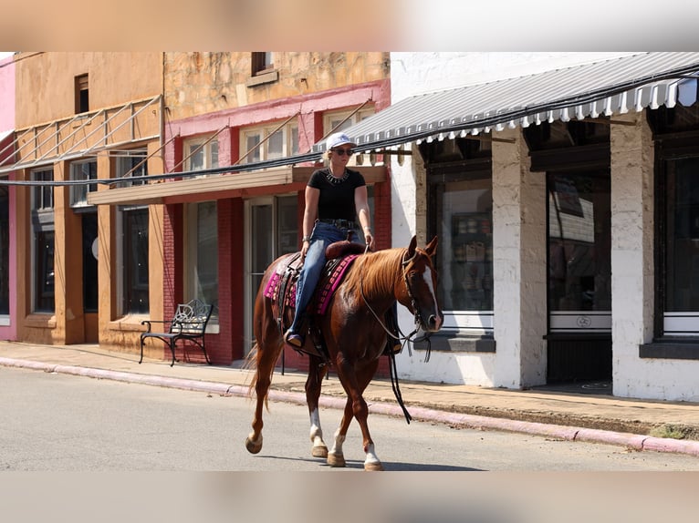 American Quarter Horse Ruin 7 Jaar Roodvos in Quitman
