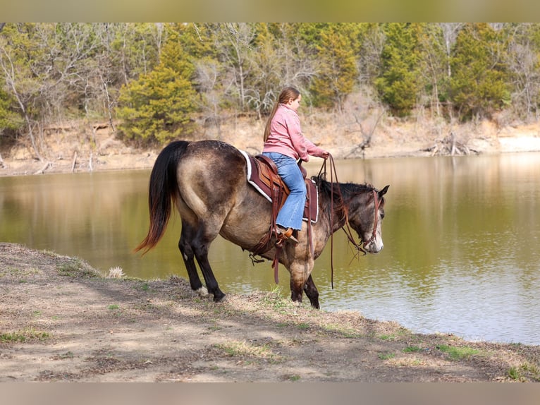 American Quarter Horse Ruin 8 Jaar 150 cm Buckskin in Forney