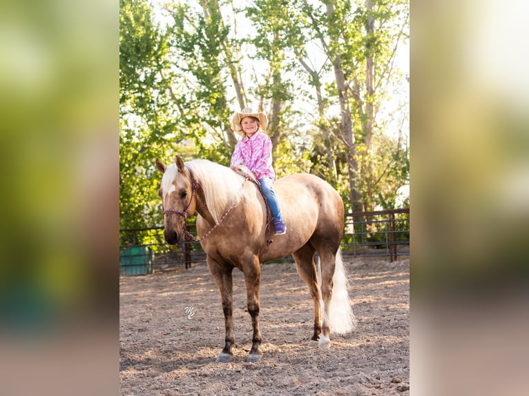 American Quarter Horse Ruin 9 Jaar 152 cm Palomino in Caldwell ID