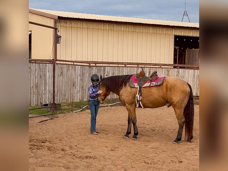 American Quarter Horse Ruin 9 Jaar 155 cm Buckskin in Weatherford
