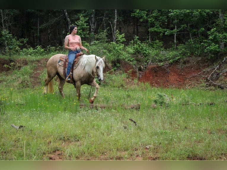 American Quarter Horse Ruin 9 Jaar 155 cm Palomino in RUsk TX