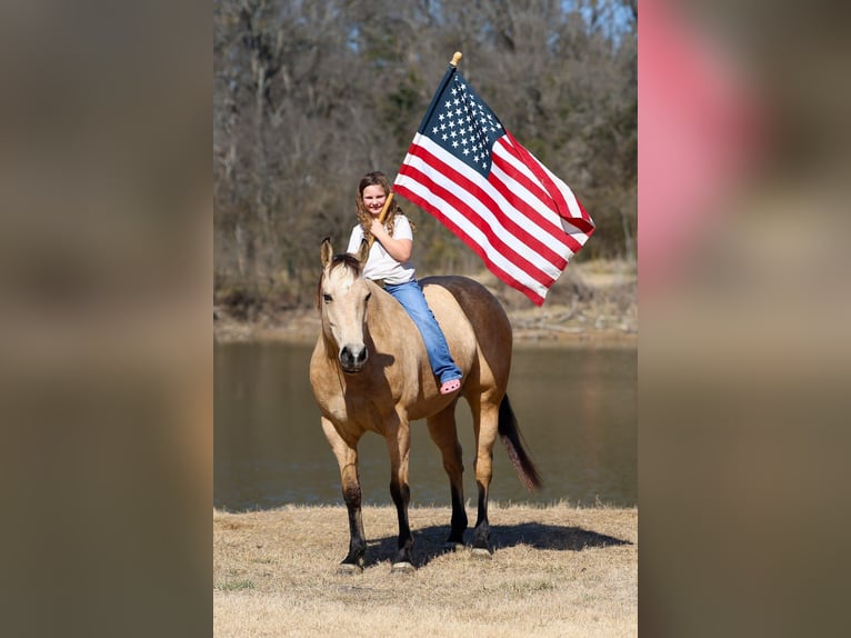 American Quarter Horse Ruin 9 Jaar 157 cm Buckskin in Forney