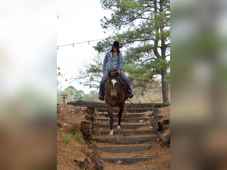 American Quarter Horse Ruin 9 Jaar 157 cm Buckskin in RUsk TX