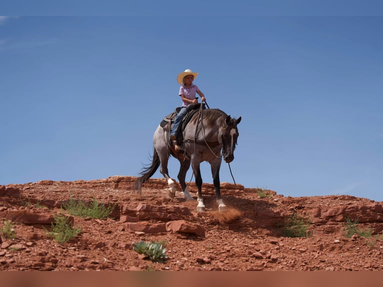 American Quarter Horse Ruin 9 Jaar 157 cm Roan-Red in Canyon TX