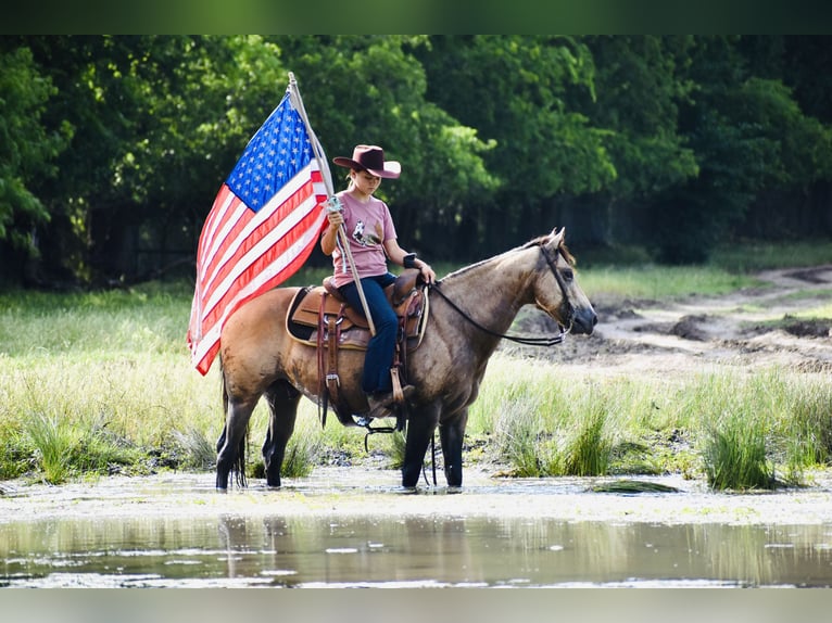 American Quarter Horse Ruin 9 Jaar Buckskin in Grandview