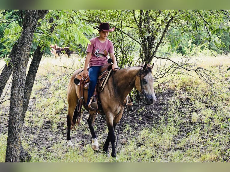 American Quarter Horse Ruin 9 Jaar Buckskin in Grandview