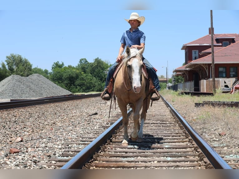American Quarter Horse Ruin 9 Jaar Palomino in Ripley