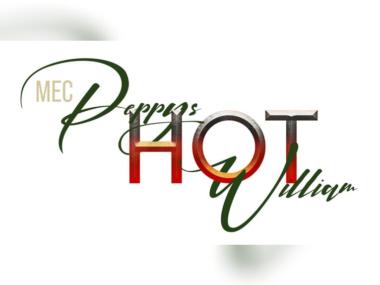 American Quarter Horse Stallion Buckskin in Rheine American Quarter Horse Stallion Buckskin in Rheine