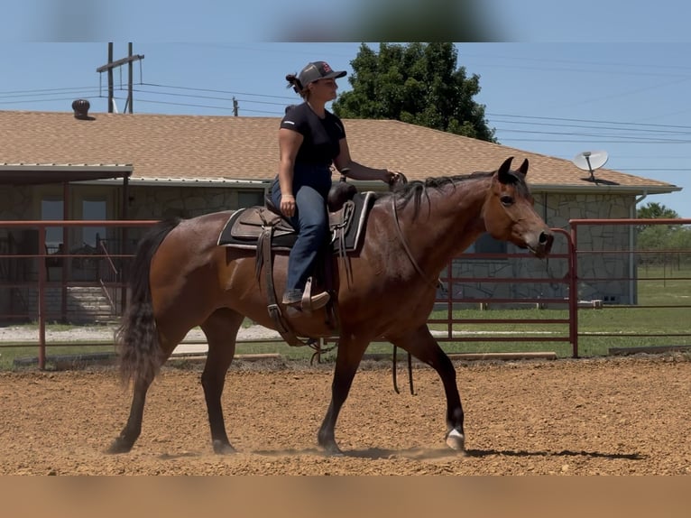 American Quarter Horse Stute 10 Jahre 152 cm Roan-Bay in Granbury, TX
