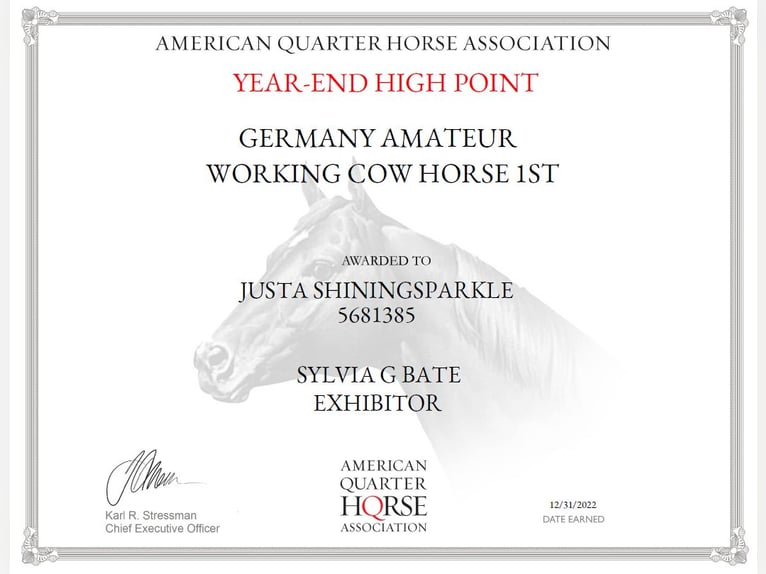 American Quarter Horse Stute 11 Jahre 152 cm Dunkelfuchs in Sinsheim