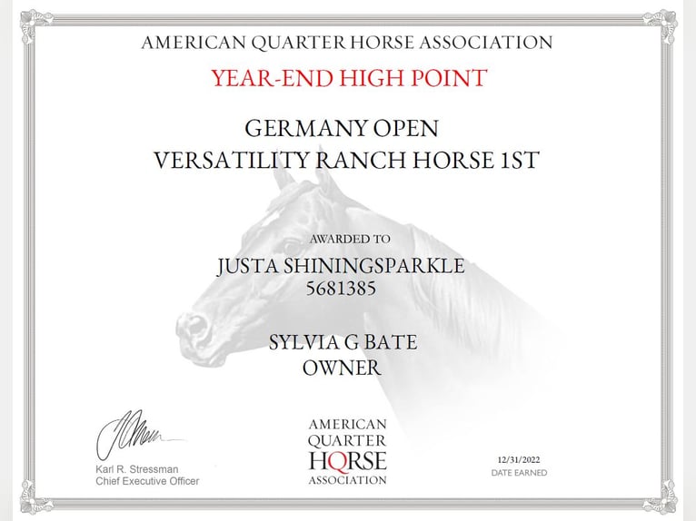 American Quarter Horse Stute 11 Jahre 152 cm Dunkelfuchs in Sinsheim