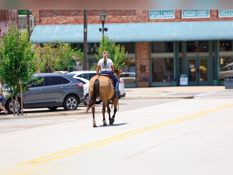 American Quarter Horse Stute 15 Jahre Falbe in Terrell