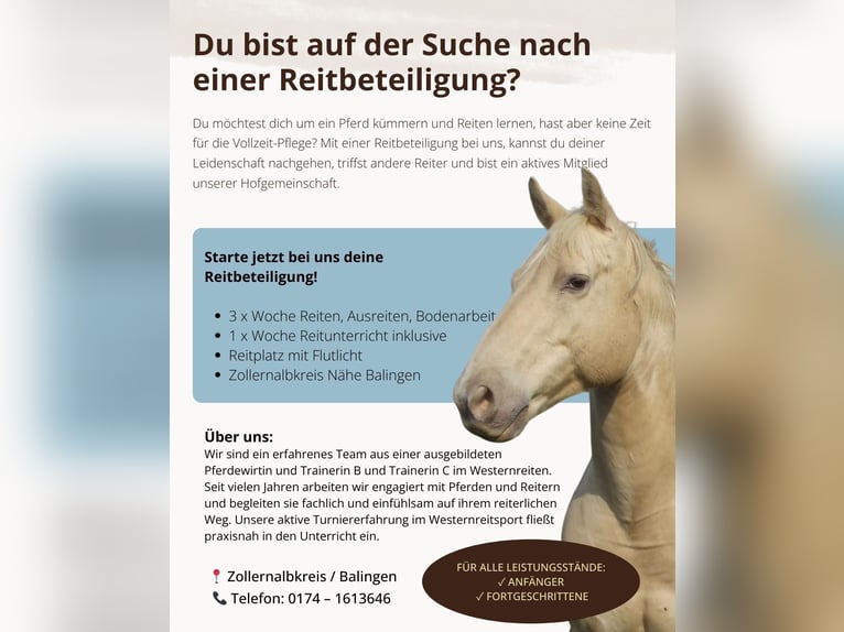 American Quarter Horse Stute 15 Jahre in Balingen