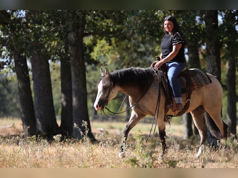 American Quarter Horse Stute 2 Jahre Buckskin in Mount Vernon