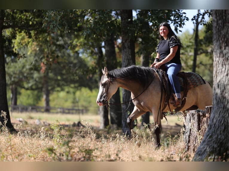 American Quarter Horse Stute 2 Jahre Buckskin in Mount Vernon
