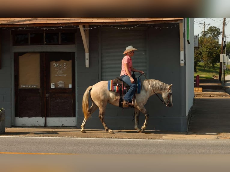 American Quarter Horse Stute 4 Jahre 142 cm Apfelschimmel in Quitman AR