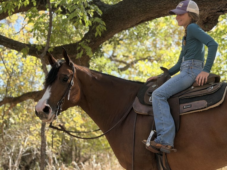 American Quarter Horse Stute 6 Jahre 157 cm Rotbrauner in Cleburne