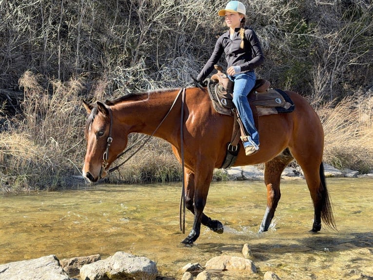 American Quarter Horse Stute 7 Jahre 147 cm Rotbrauner in Cleburne