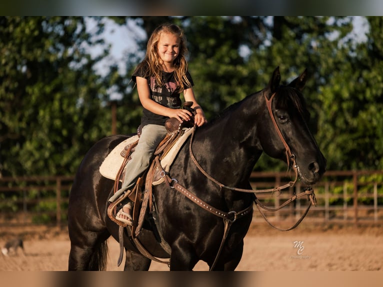 American Quarter Horse Wałach 10 lat 142 cm Kara in Caldwell, ID