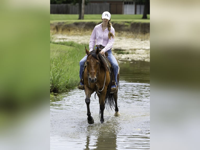 American Quarter Horse Wałach 10 lat 147 cm Gniada in Weatherford, TX