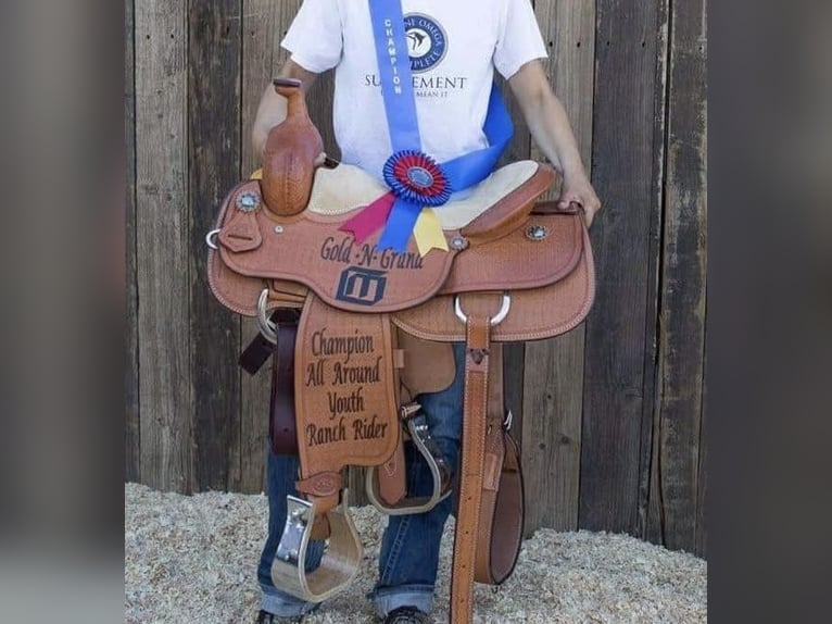 American Quarter Horse Wałach 12 lat 152 cm Kasztanowatodereszowata in Whitesboro, TX