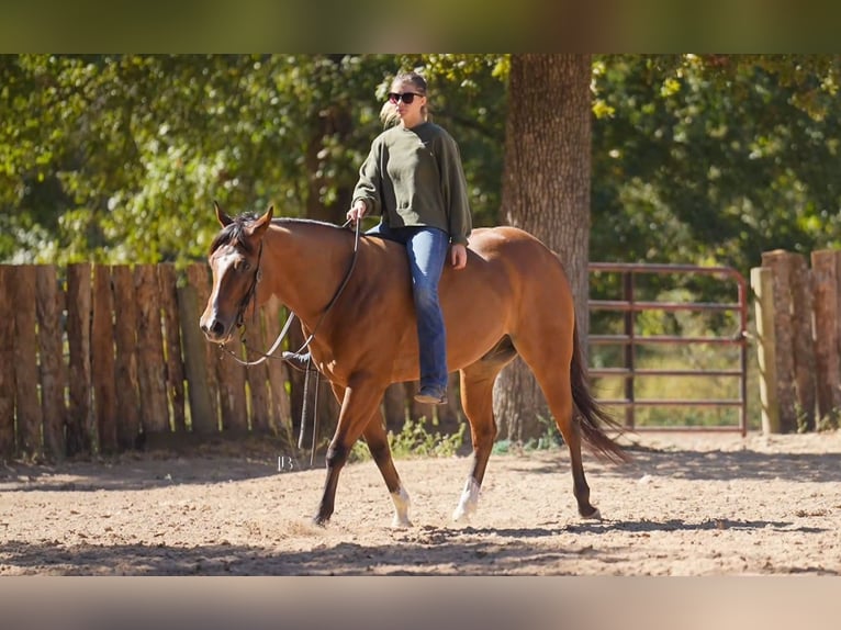 American Quarter Horse Mix Wałach 5 lat 147 cm Gniada in Terrell American Quarter Horse Mix Wałach 5 lat 147 cm Gniada in Terrell