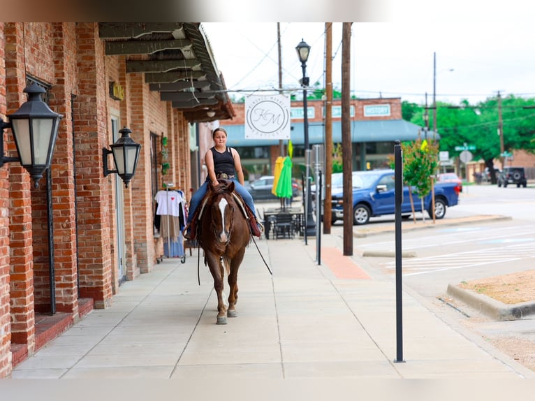 American Quarter Horse Wałach 6 lat Cisawa in Forney, TX