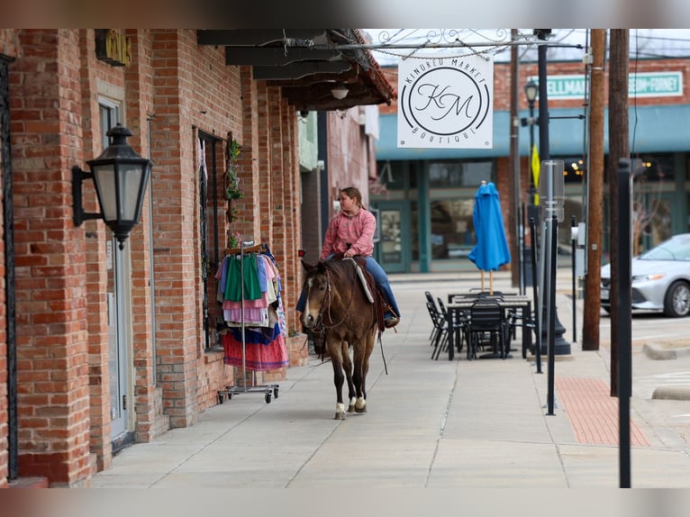 American Quarter Horse Wałach 8 lat 142 cm Gniada in Forney