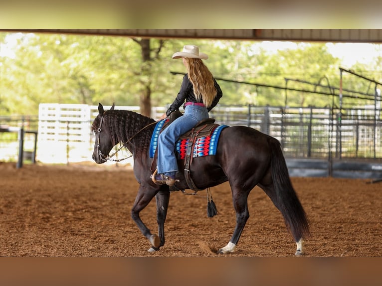 American Quarter Horse Wałach 9 lat 152 cm Kara in Quitman