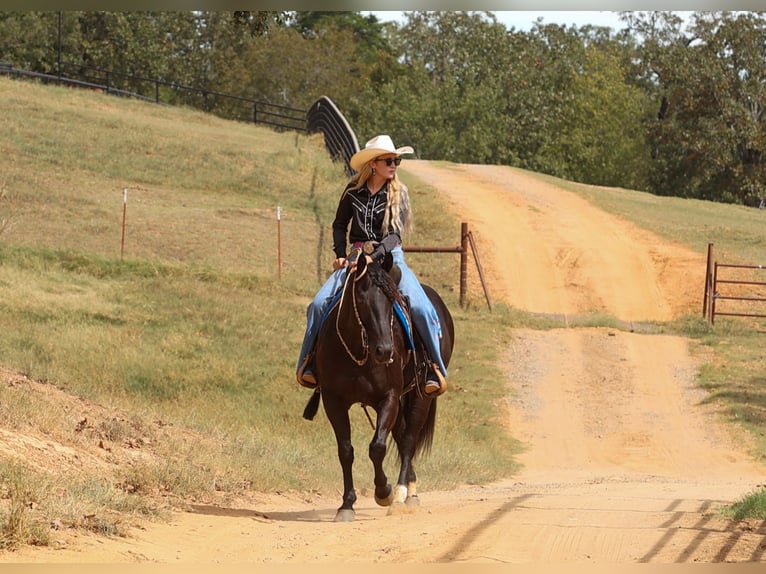 American Quarter Horse Wałach 9 lat 152 cm Kara in Quitman