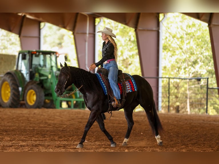 American Quarter Horse Wałach 9 lat 152 cm Kara in Quitman