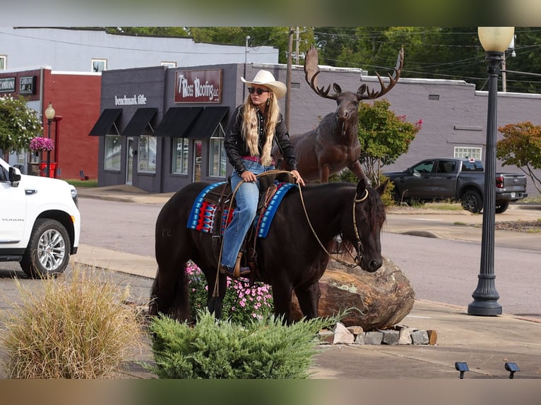 American Quarter Horse Wałach 9 lat 152 cm Kara in Quitman