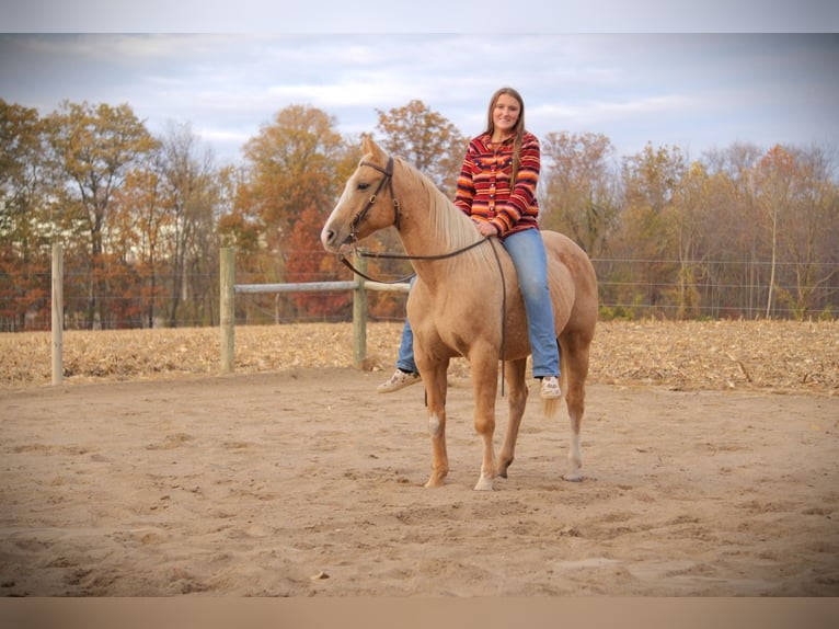 American Quarter Horse Wałach 9 lat 155 cm Izabelowata in Saint Joe