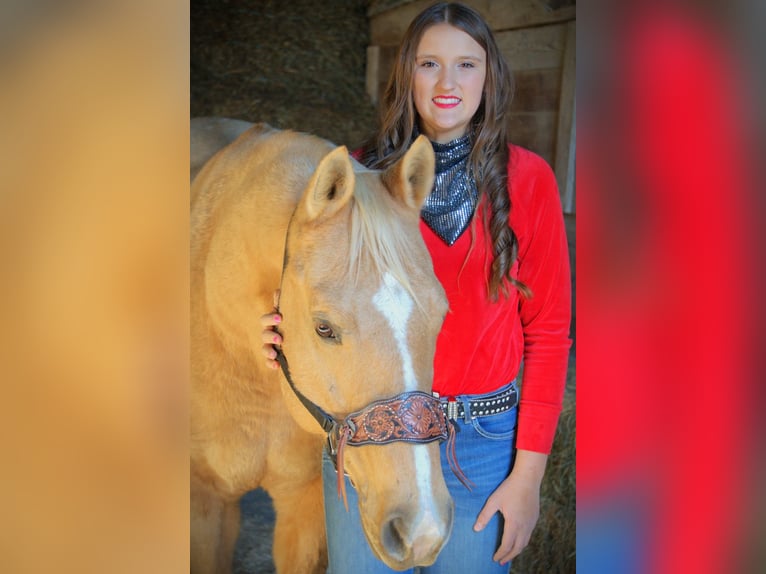 American Quarter Horse Wałach 9 lat 157 cm Izabelowata in Saint Joe