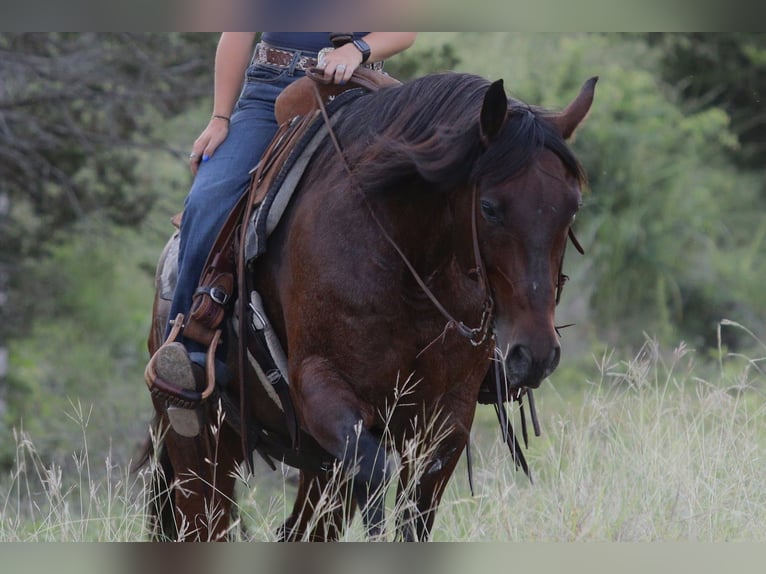 American Quarter Horse Wałach 9 lat Kara in Mineral Wells