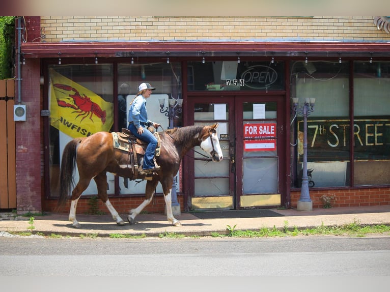 American Quarter Horse Wałach 10 lat 157 cm Overo wszelkich maści in Rusk TX