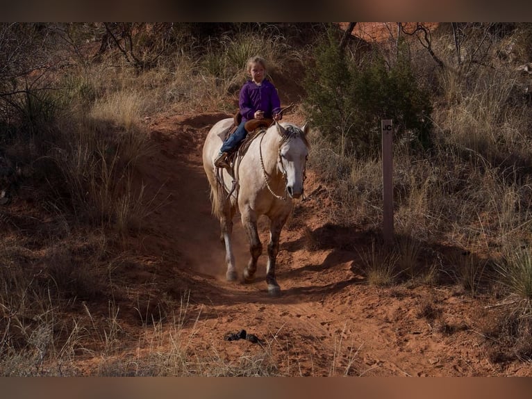 American Quarter Horse Wałach 10 lat Siwa in Canyon, TX