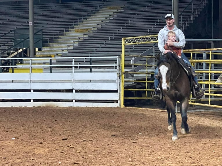 American Quarter Horse Wałach 11 lat Gniada in Graham, TX
