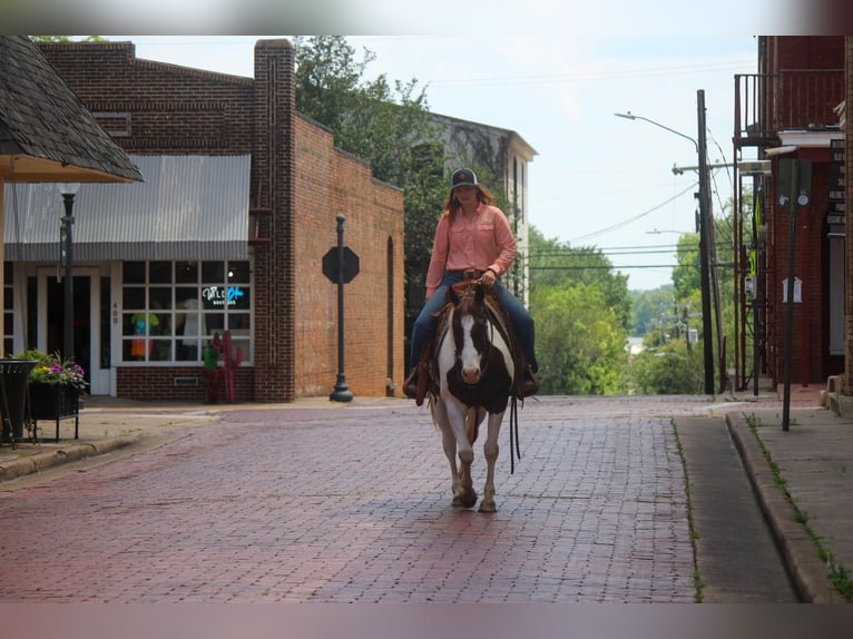 American Quarter Horse Wałach 12 lat 150 cm Tobiano wszelkich maści in Rusk TX