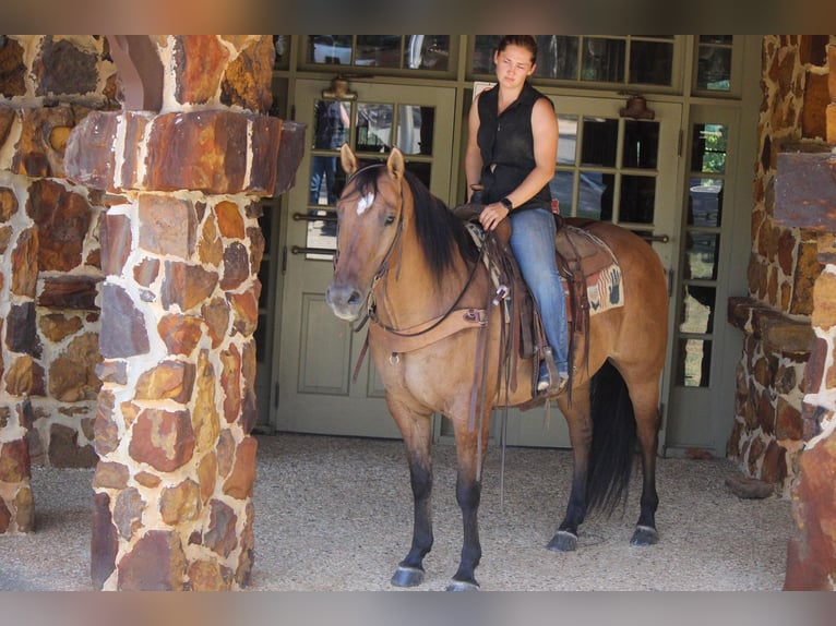 American Quarter Horse Wałach 12 lat 152 cm Bułana in Rusk TX