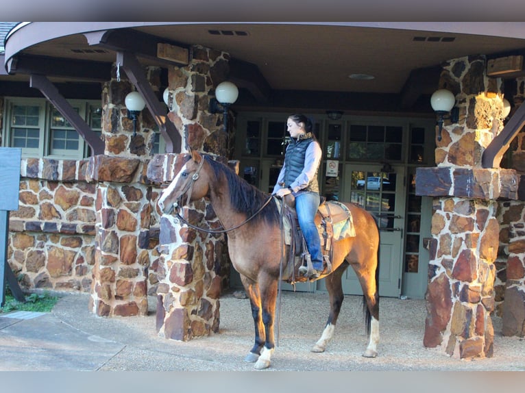 American Quarter Horse Wałach 12 lat 152 cm Bułana in Rusk TX