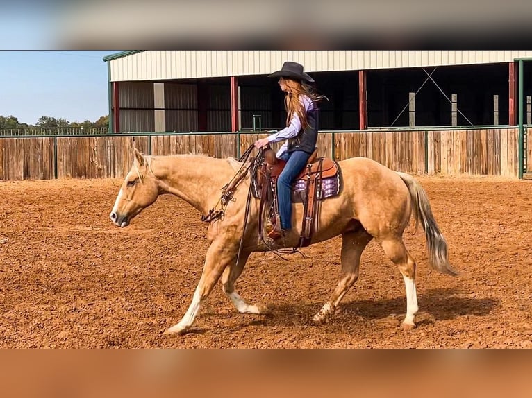 American Quarter Horse Wałach 16 lat 157 cm Izabelowata in Weatherford TX
